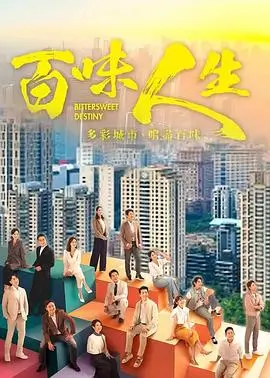 热播电视剧全集雾港迷局高清封面
